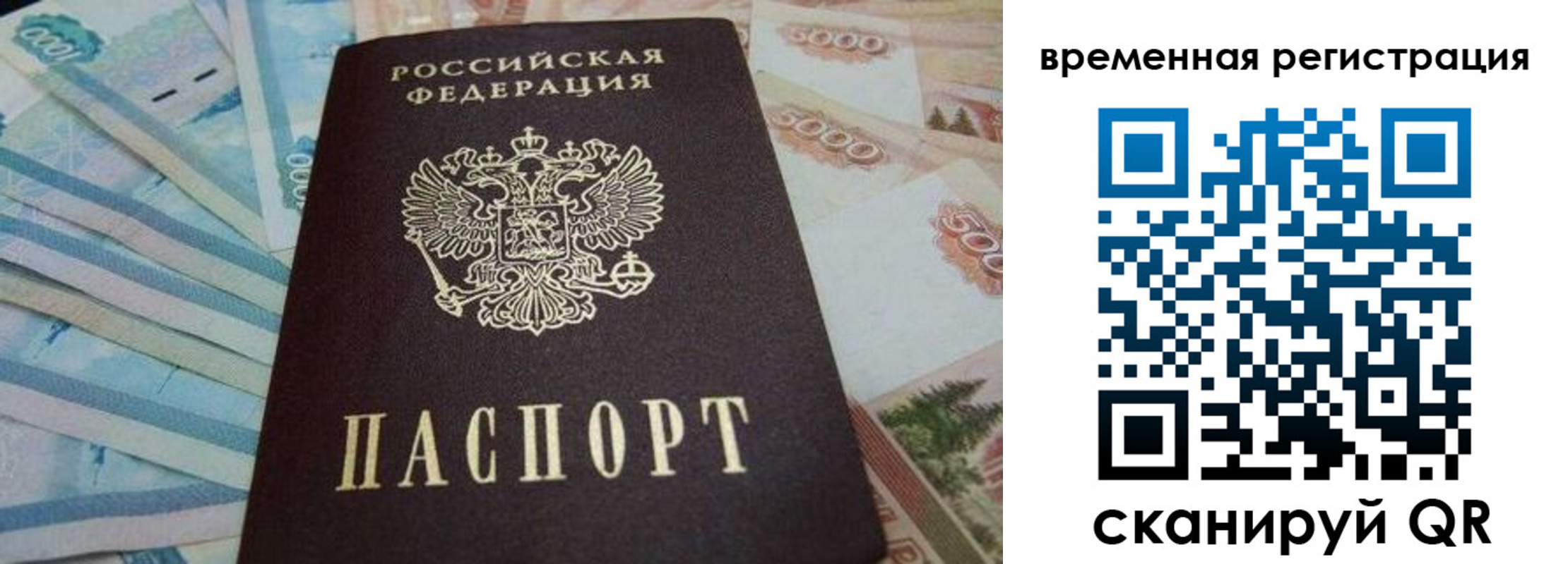 временная регистрация гарантия в Луге